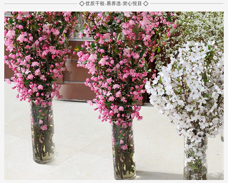梦动水培带花苞 干枝垂丝海棠泡水开花鲜切海棠干支花遇水开花插花