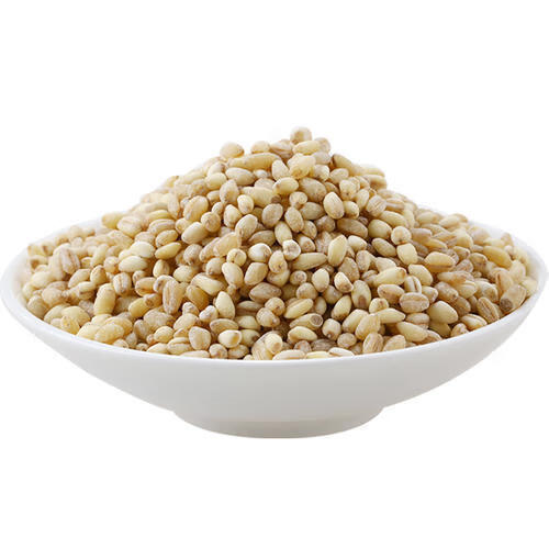 盐城特产苏北五谷杂粮大麦彩子粗粮大麦糁大麦采子大麦米额满大麦采子