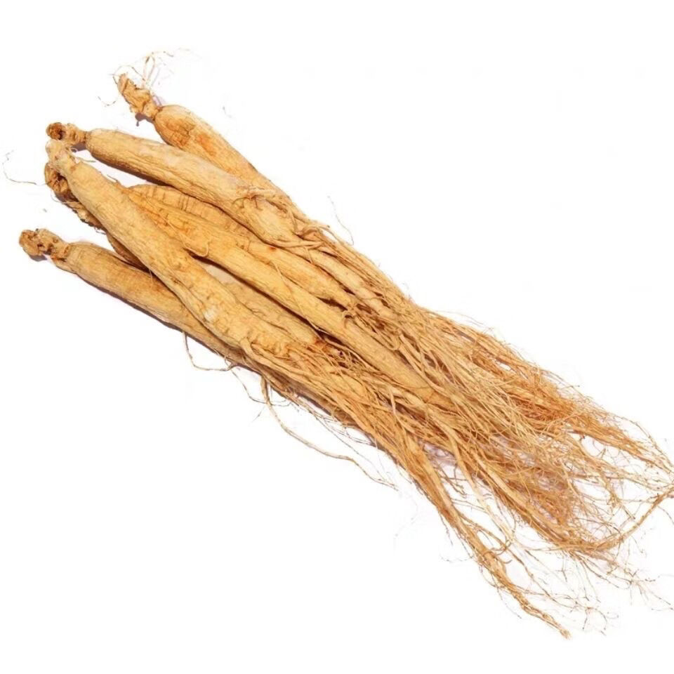 (亏本卖)【8年干人参散装超值】野山参生晒参白参长白山人参泡酒料