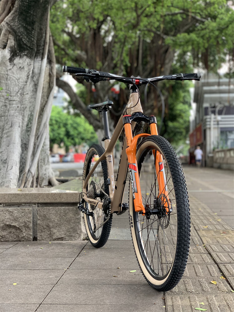 5寸fastfish碳纤维12速爬坡版山地车气叉油刹轻量自行车 禧玛诺12速