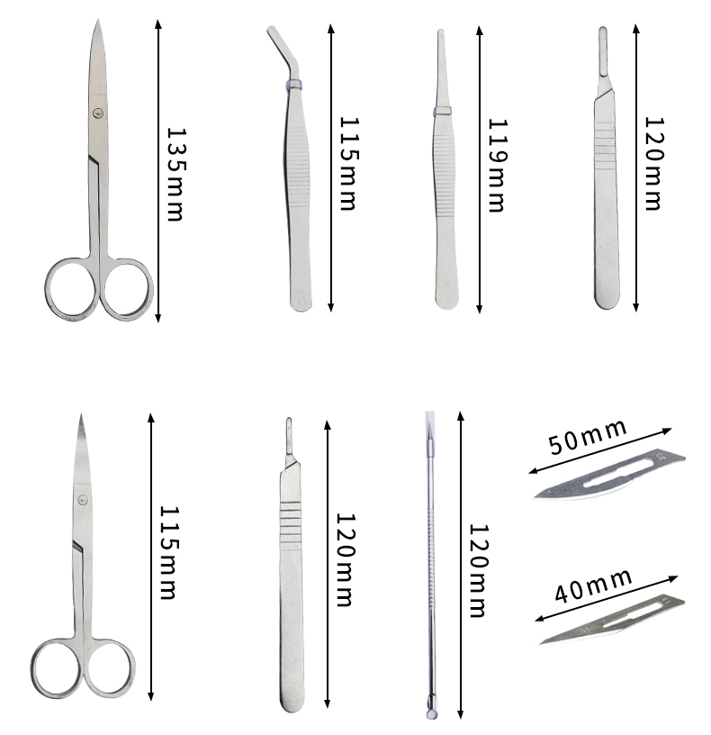 不锈钢昆虫解剖针解剖剪解剖盘刀片刀柄医学生物实验室用品工具套装