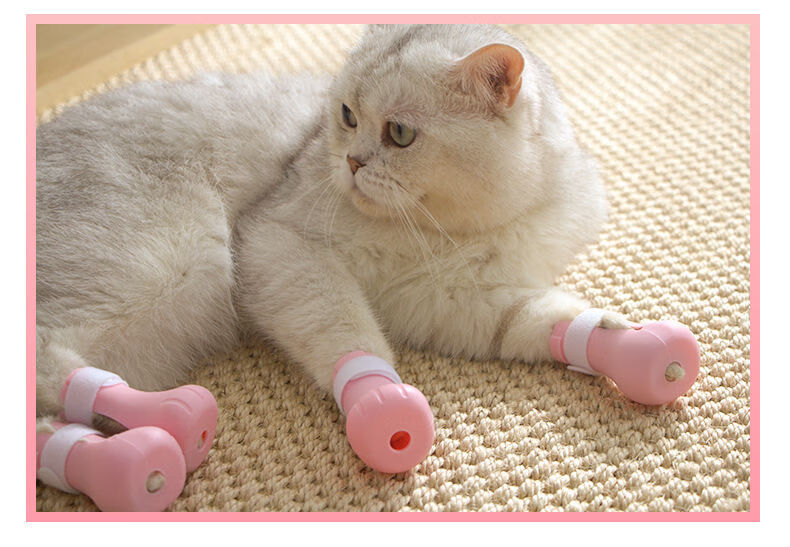 黑泽木猫咪猫爪手套猫脚套防猫咪洗澡神器猫爪套剪指甲防抱猫吸猫猫鞋
