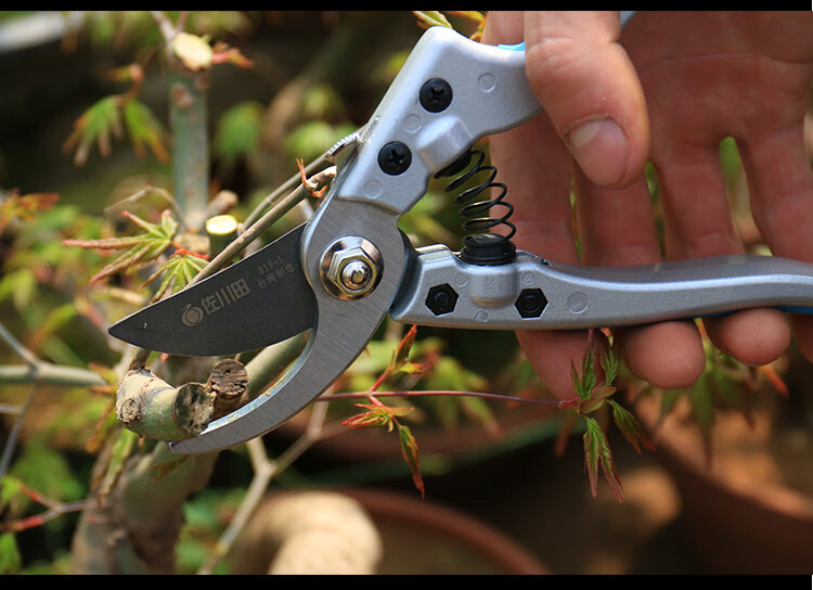 叶芽剪牙剪刀盆景修剪造型制作树芽长剪刀修枝剪盆景修剪工具 新手