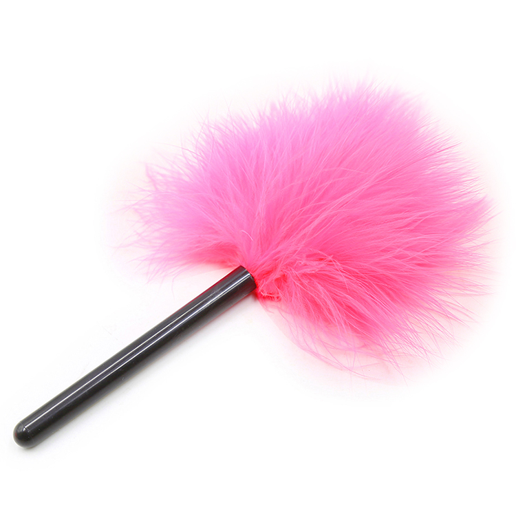 情趣用品男女用器具sm夫妻另类性调教复古蕾丝枫叶紫针扣硅胶口塞一个