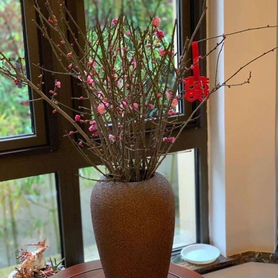桃花干枝梅水养开花干支遇水红梅腊梅枝条水培鲜花插花 加花瓶.