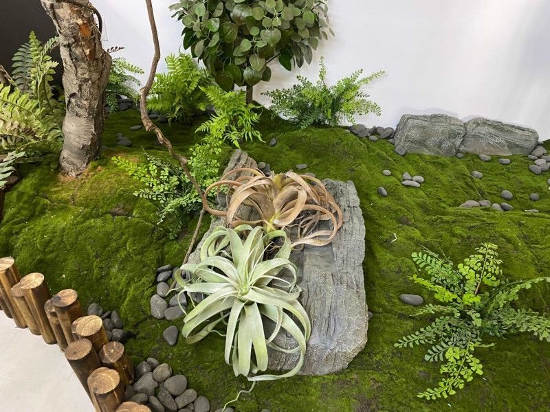 精选仿真绿植墙青苔藓草皮仿真青苔草坪盆景草坪绿植场景橱窗假苔藓