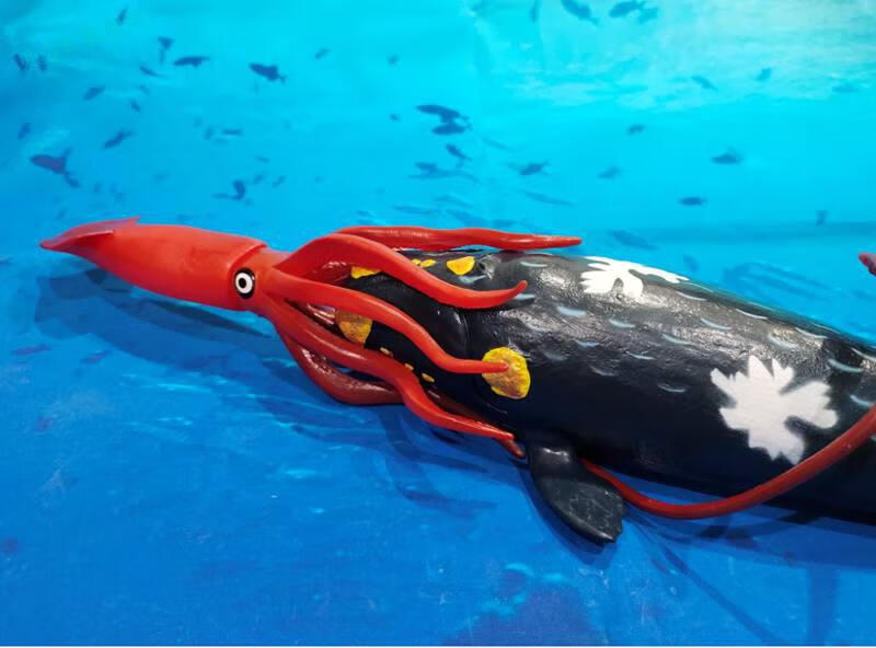 仿真海洋生物海底大王乌贼模型鱿鱼玩具章鱼动物模型抹香鲸玩具 大号