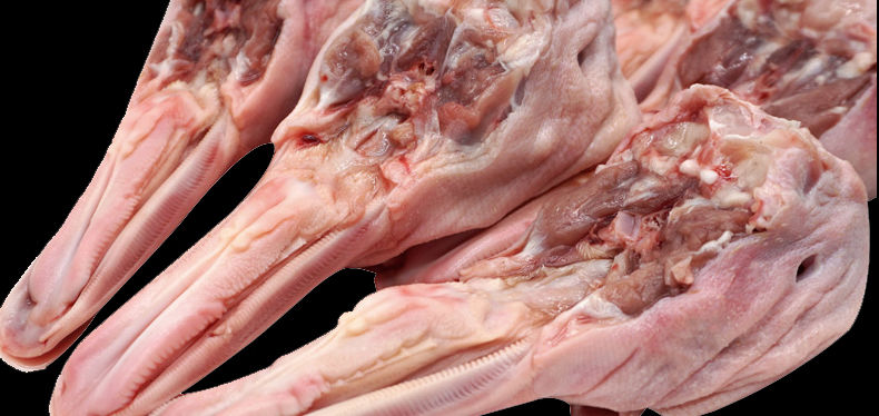 轻恋 生鲜鸭头冷冻带舌新鲜鸭舌鸭下颚鸭下巴鸭货卤货食材麻辣零食4斤