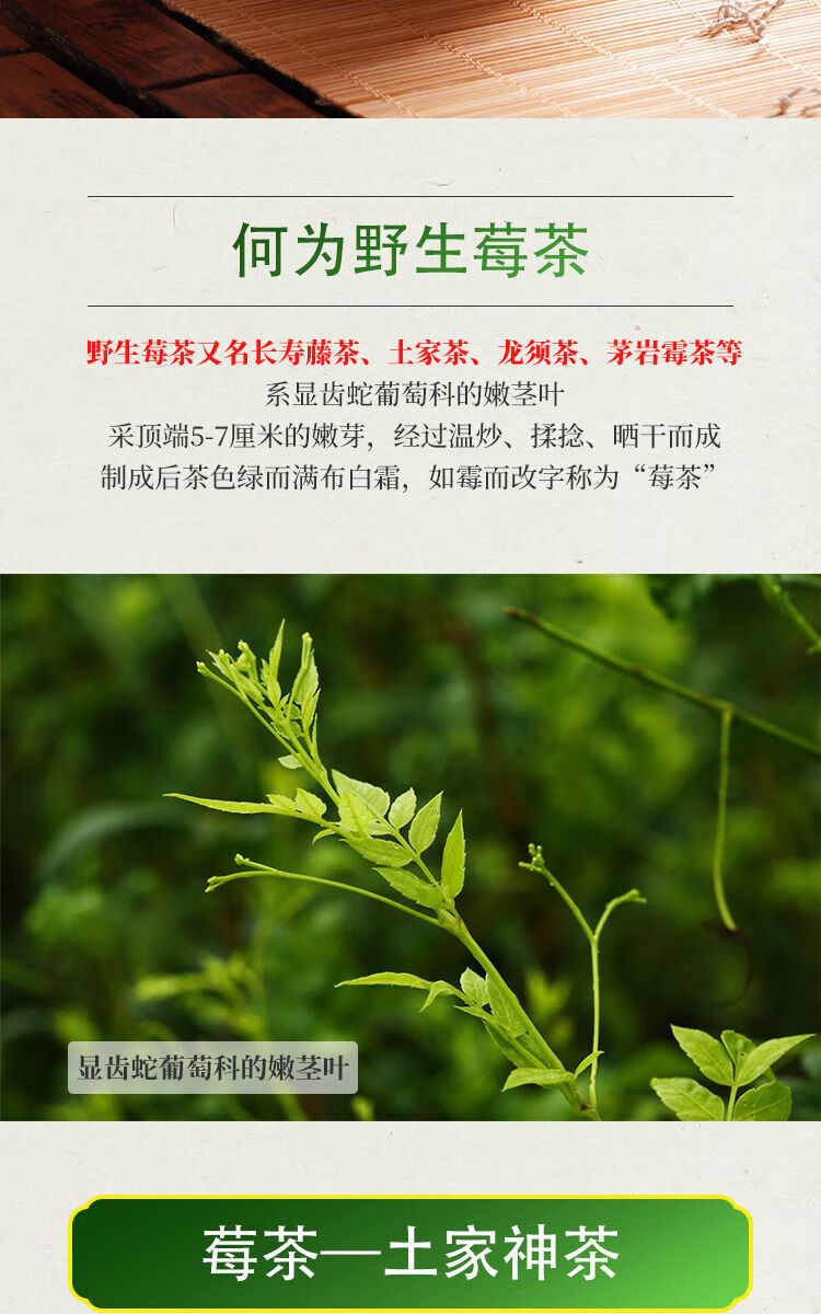 長壽藤茶 龍鬚芽尖養生土家茶新茶 一袋龍鬚牙尖莓茶250g【圖片 價格