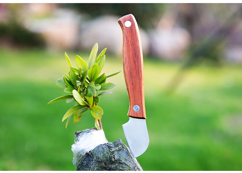 手工刀具嫁接刀特芽接刀果削木接树刀果树嫁接园艺工具b003大号钢头