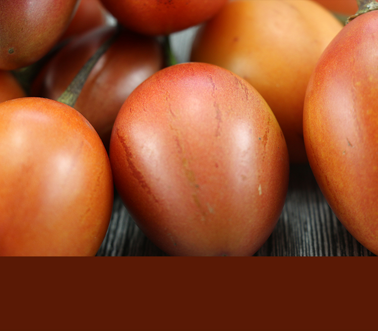 云南大树番茄树酸茄洋酸茄新鲜鸡蛋果番茄缅茄特色蘸水1-5斤装 250g