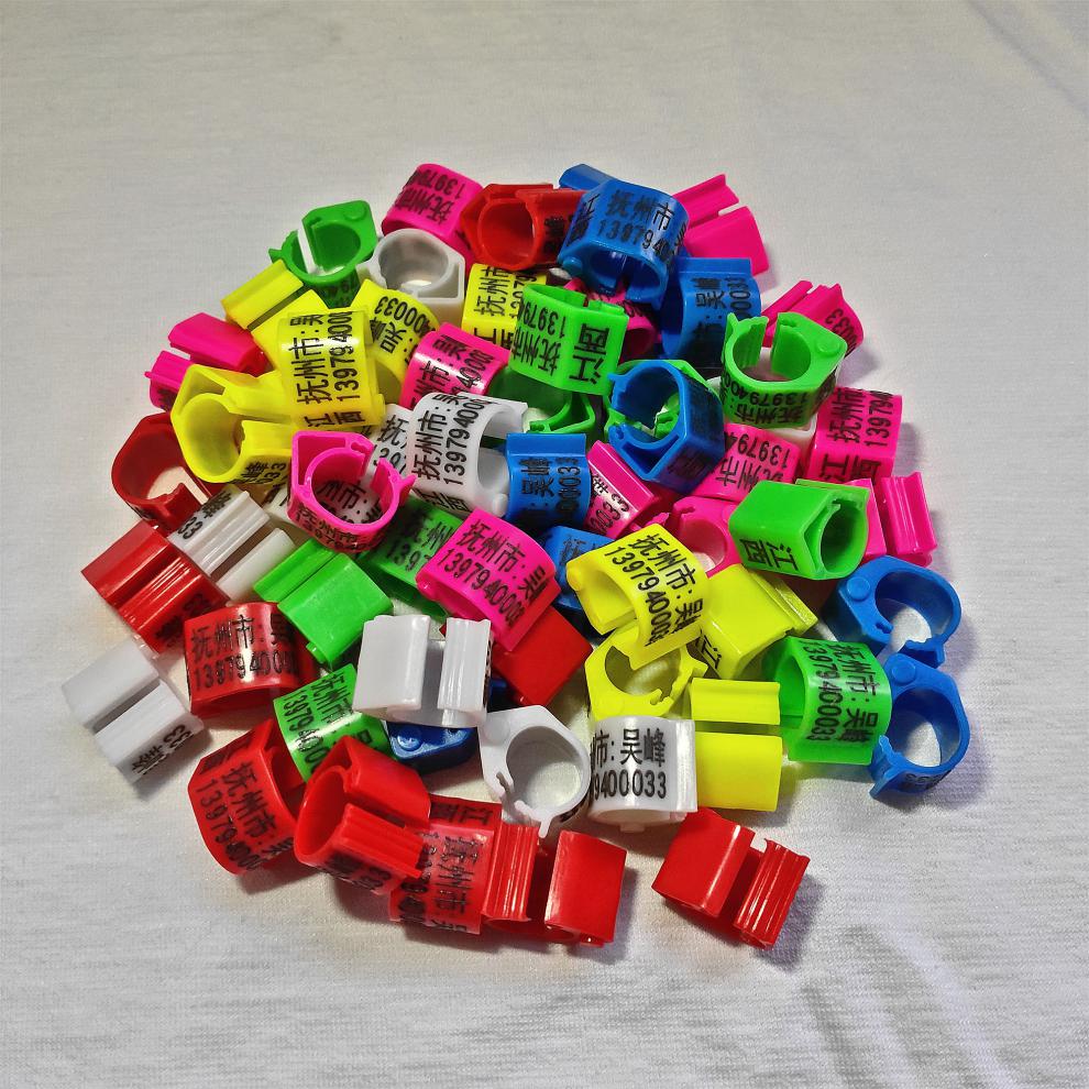 梦动鸽子脚环信鸽用品鸽子脚环定制信鸽足环订做私人脚环开口识别环