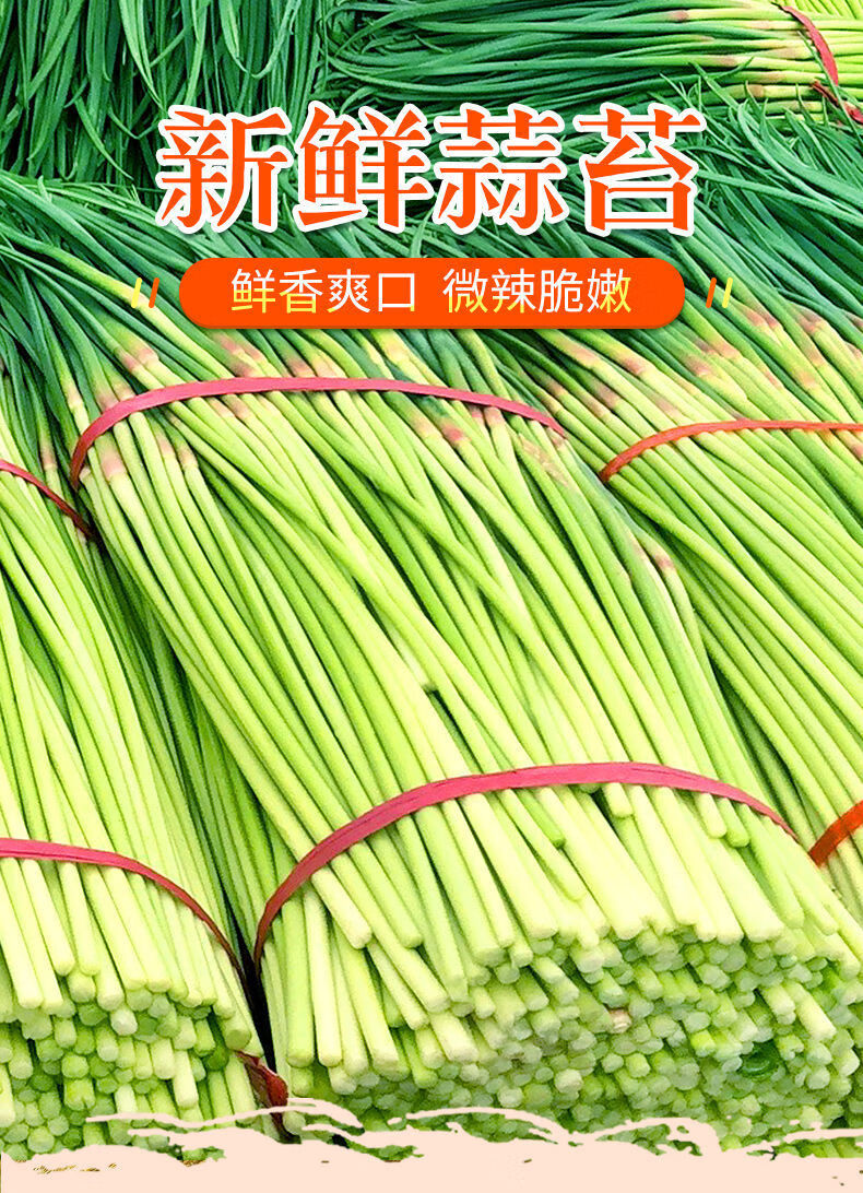 蒜苔新鲜蒜薹蒜台农家自种蔬菜青菜5斤