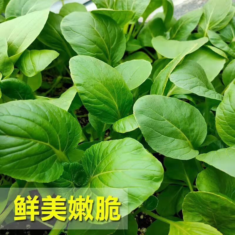 b6448a73f9a13999.jpg