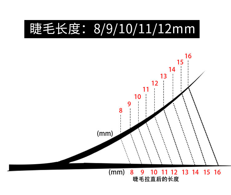 睫毛翘度bjc区别示意图图片