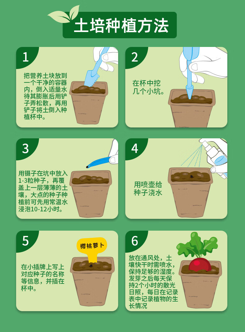 手工蔬菜植物8男孩5开学 种植吧阳光房