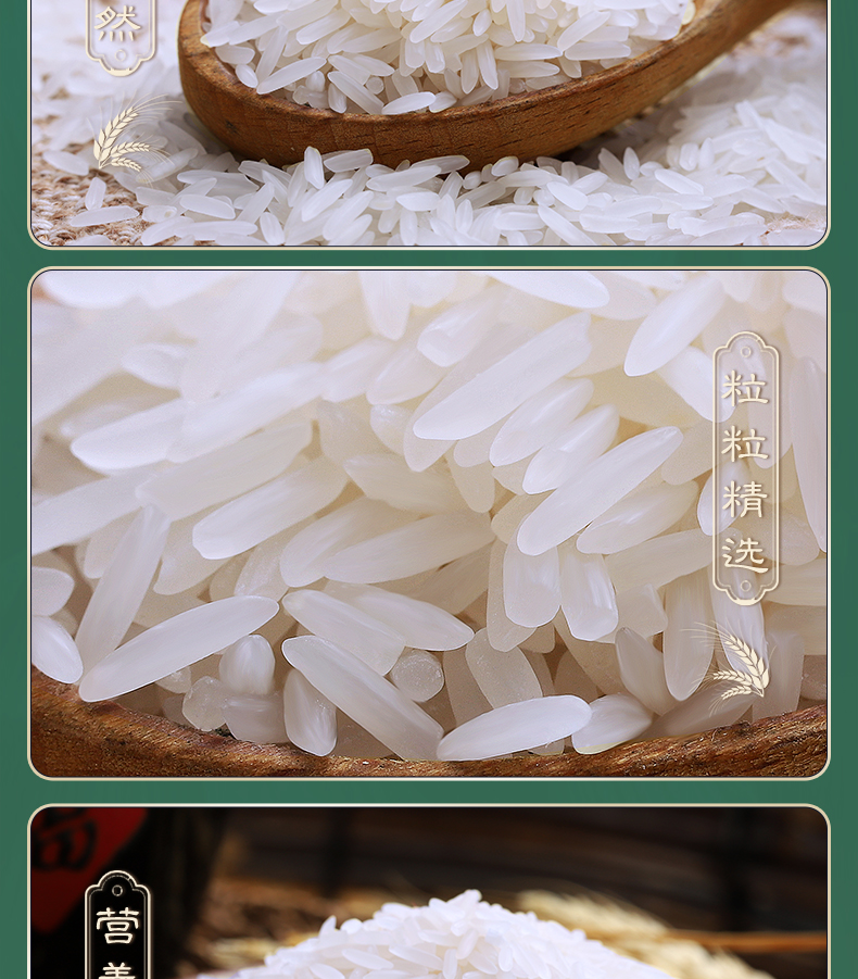 赣米鄱源鄱阳湖香稻大米5kg南方大米江西农家香米长粒香米1件