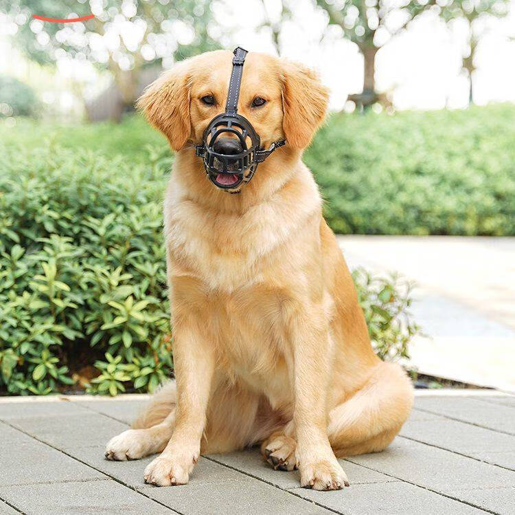 宠物狗口罩防舔 小狗嘴套防咬叫乱可喝水宠物泰迪口罩狗罩防舔狗狗止