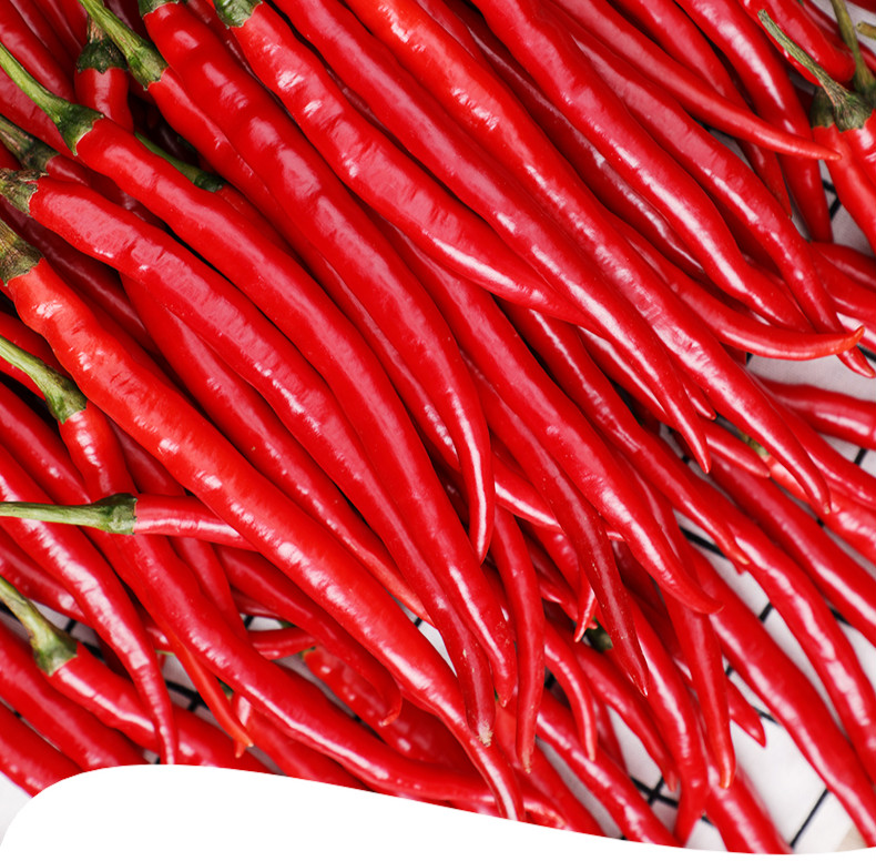 贵州新鲜红线椒二荆条5斤红辣椒农家自种泡剁椒小米尖椒 1斤【图片