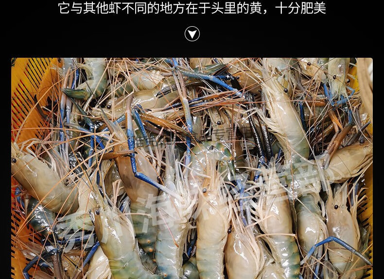 鲜活罗氏沼虾 淡水大虾 河虾 对虾 大头虾生鲜冷冻大虾基围虾 6斤