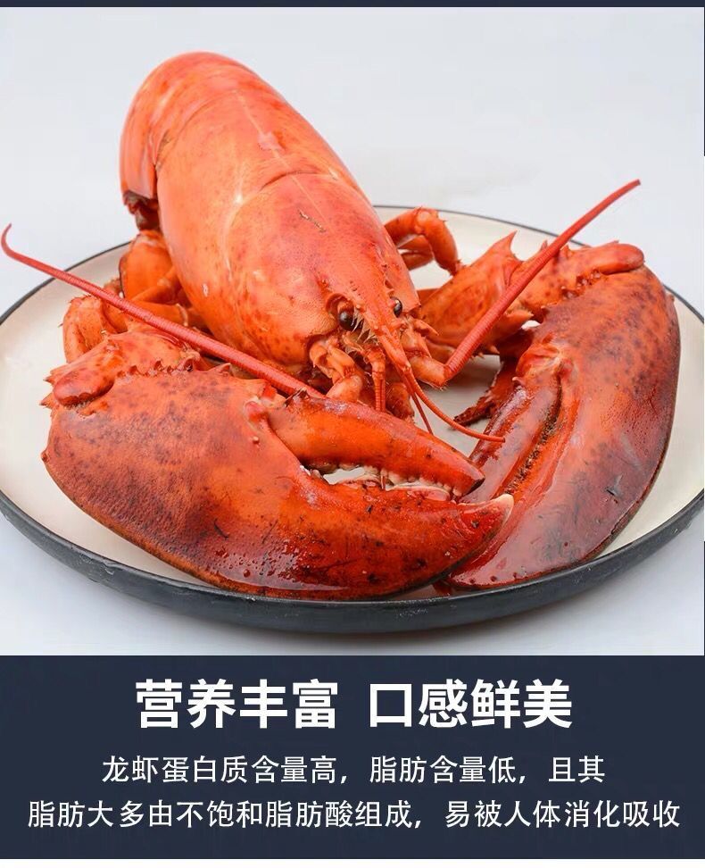 冰鲜波士顿龙虾大波龙鲜活速冻海鲜龙虾特大超大波龙4斤