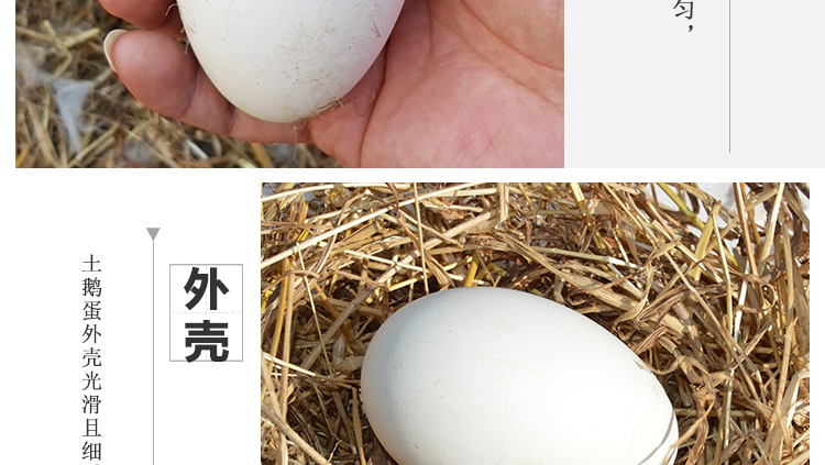 五龙鹅大三花受精鹅蛋受精蛋种蛋可孵化鹅苗种蛋种鹅蛋四季鹅三花