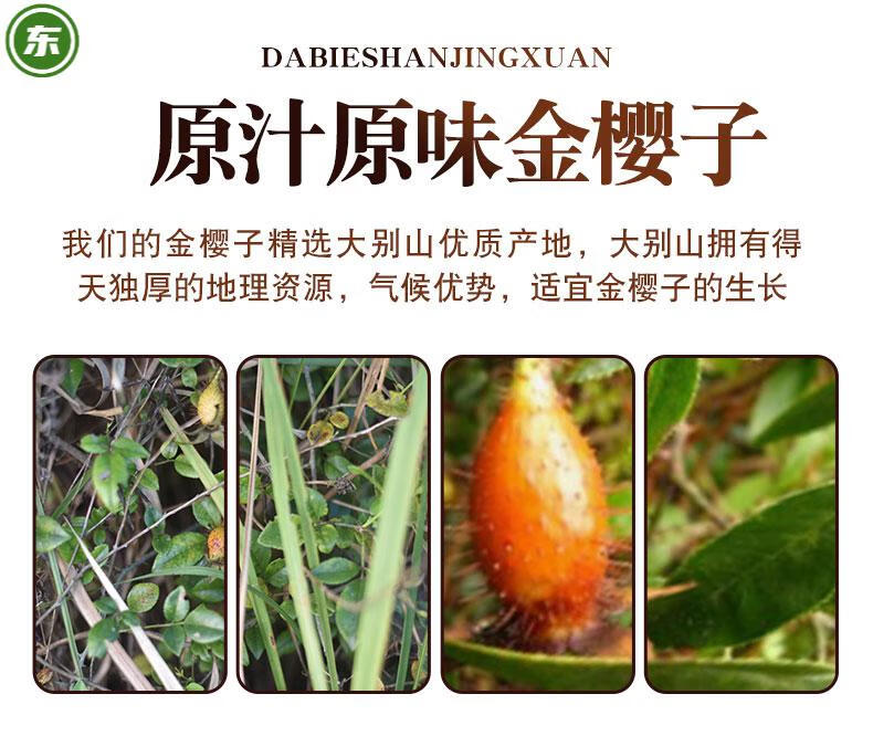 杞里香野生金樱子500g新鲜干货金婴子泡酒料刺梨子干泡茶