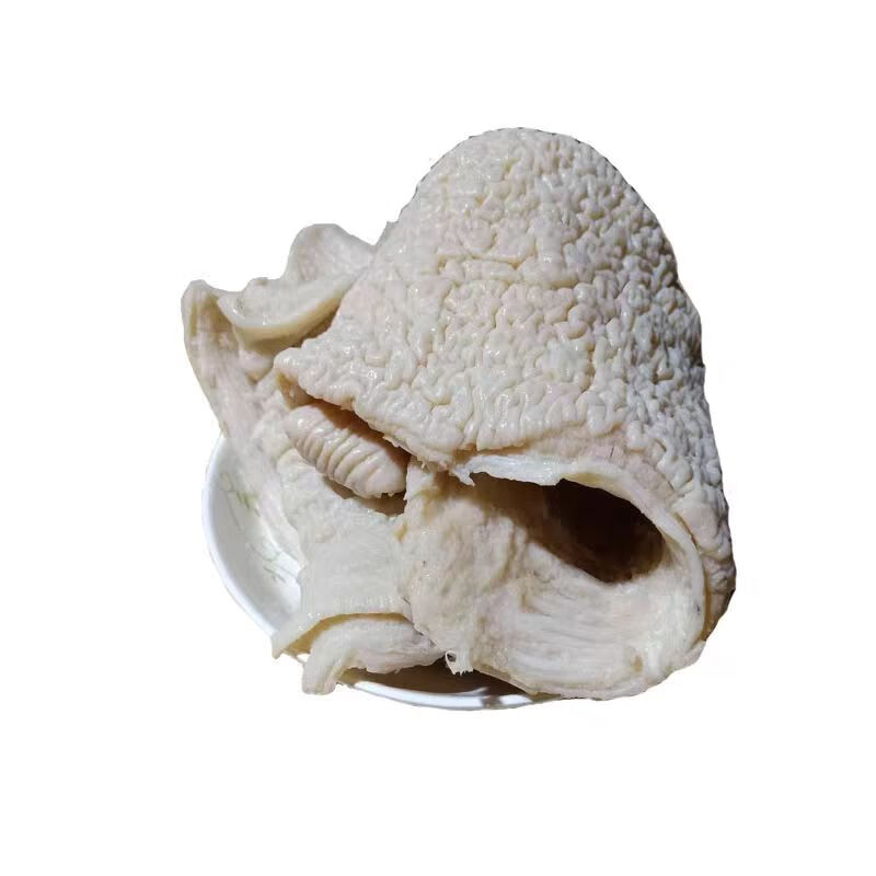 2斤 5斤牛肠牛大肠头 去油免洗六成熟牛肠 牛板肠半成品牛杂 2斤装