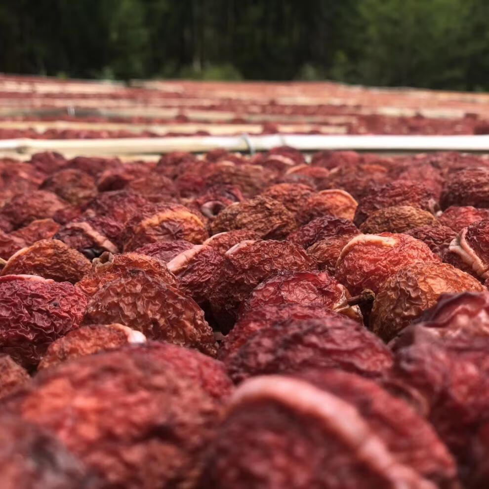 永泰福建福州特产李干芙蓉李干酸甜李子原味蜜饯办公零食 新店开业