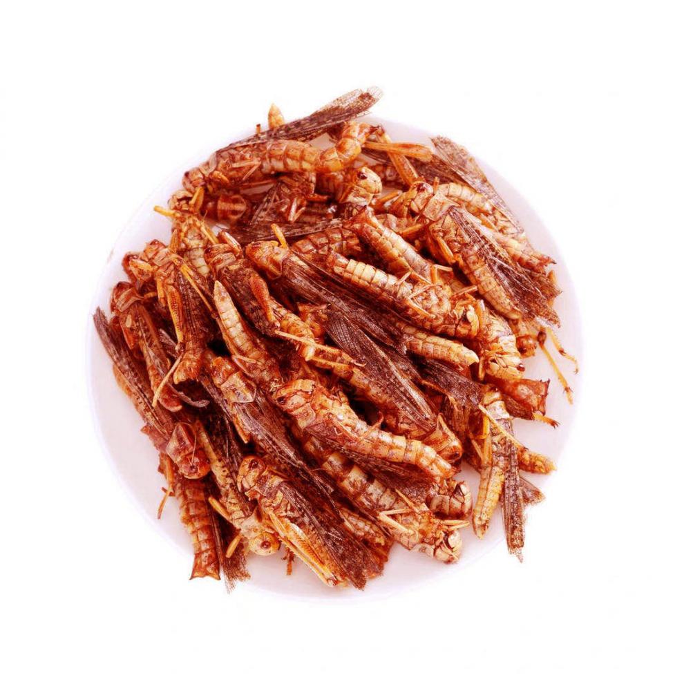 现做批发 新鲜油炸蚂蚱即食 香辣蝗虫昆虫蚱蜢虫子美食零食小吃 椒盐