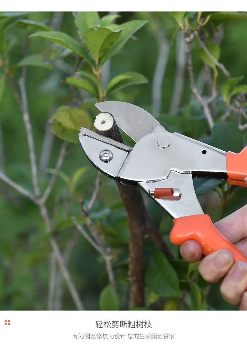 强力sk5修剪树枝剪刀果枝剪修花修枝剪刀粗枝剪园林园艺剪刀小号强力