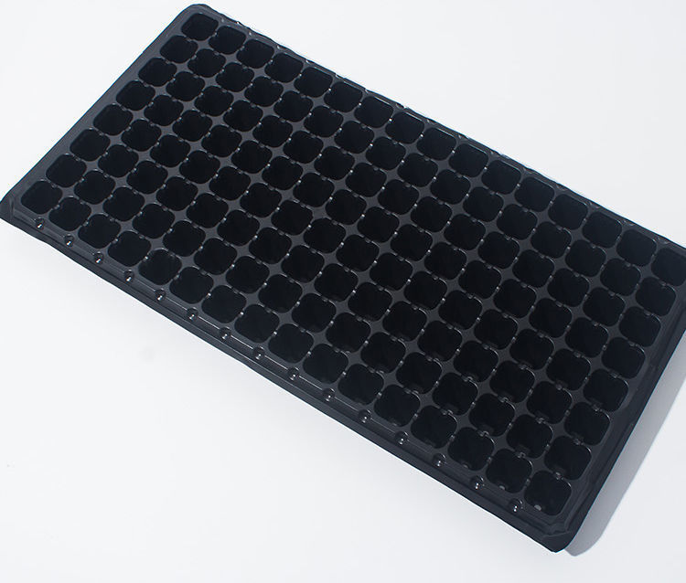 育苗穴盘育苗盘加厚加深草莓多肉叶插盘育芽菜苗托盘扦插盘秧苗盘