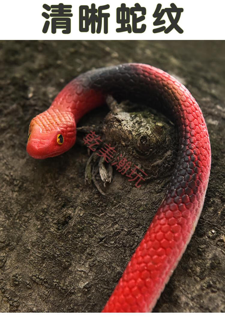 儿童玩具蛇仿真蛇软胶整蛊恶搞吓人创意搞怪橡胶假蛇动物模型道具