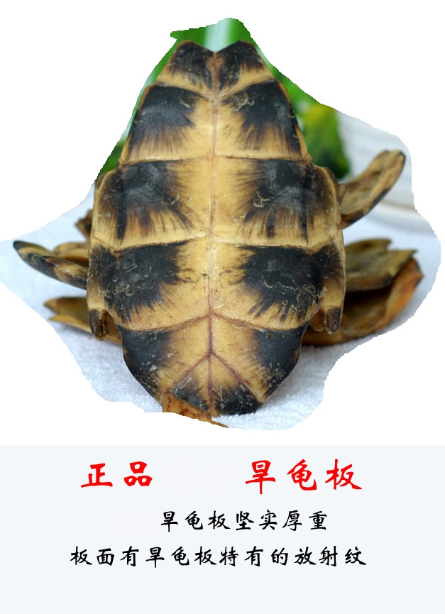 250g龟板,生龟板纯旱龟板带血龟板 纯龟下甲