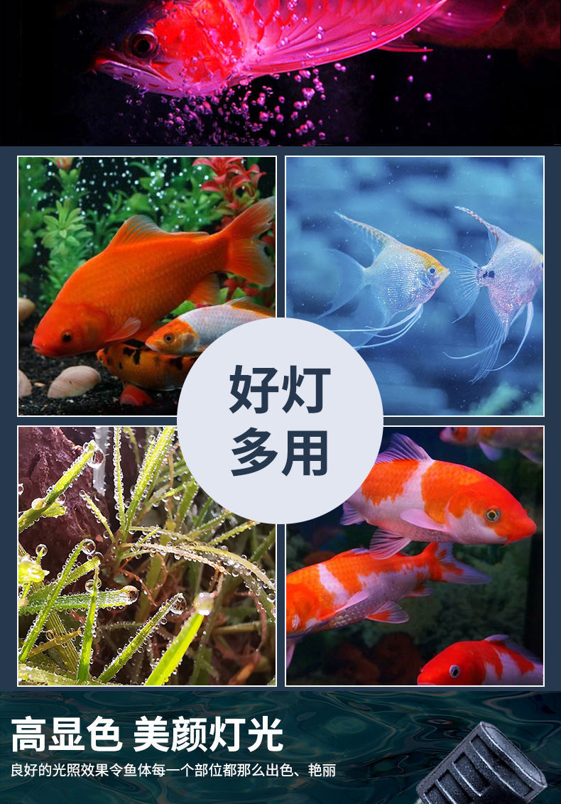 鱼缸灯led灯装饰灯潜水照明灯观赏金鱼节能灯鱼缸专用灯 蓝白光(高亮)