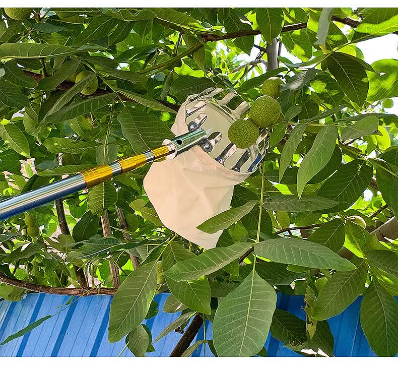 摘果子神器伸缩杆摘水果树上高空摘果苹果柿子采摘不锈钢工具果子摘果