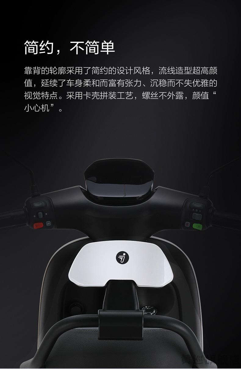 九号电动摩托车e200靠背后适用e100e125pe90e70ce80c4065lite全系枪