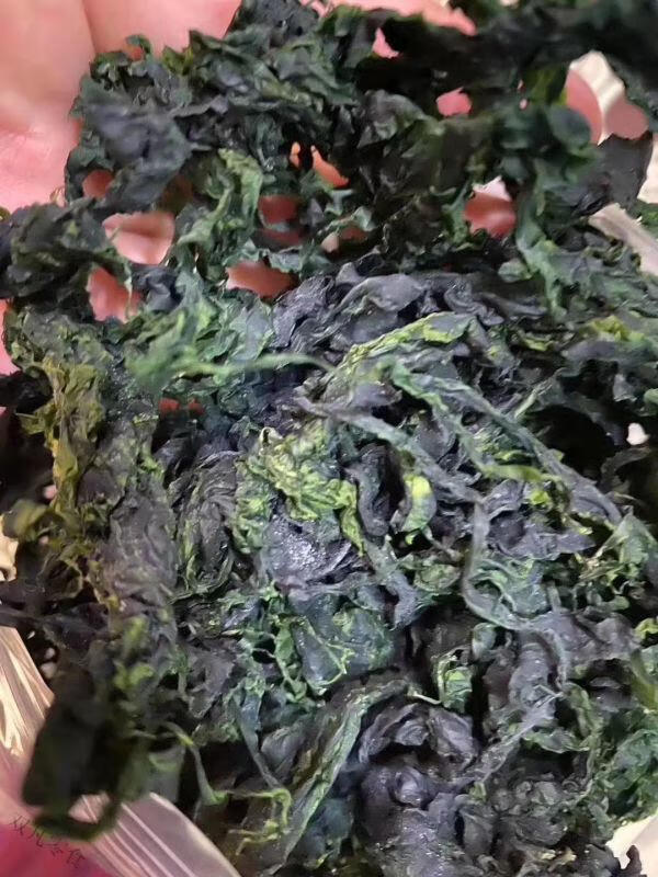 柯乐思 长岛海菜包子原料 100克干海青菜 大连海菜包子原料 新菜鲜嫩