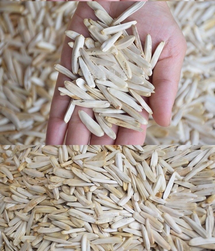 牙签瓜子新疆特产牙签马牙葵花籽葵生瓜子白皮新货皮薄仁酥 新货(原味