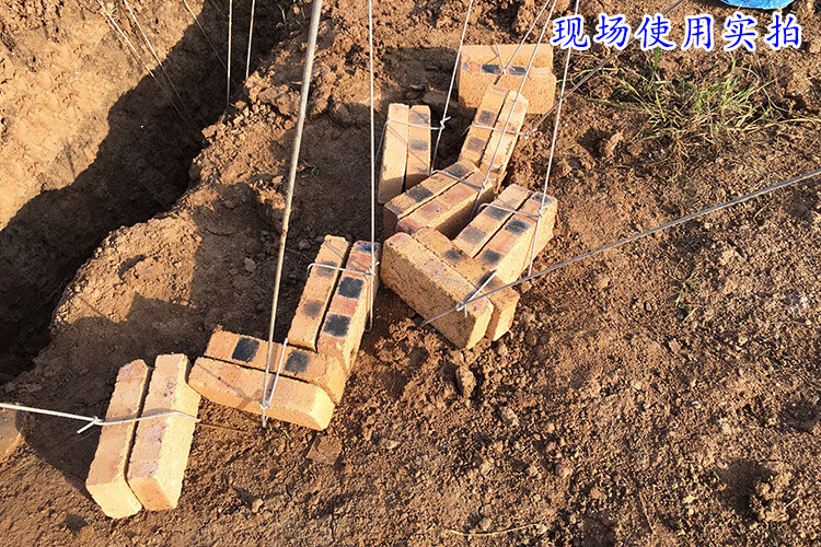 大棚地锚地桩拉线地锚防锈热镀锌温室配件预埋地锚不生锈强度高长05米