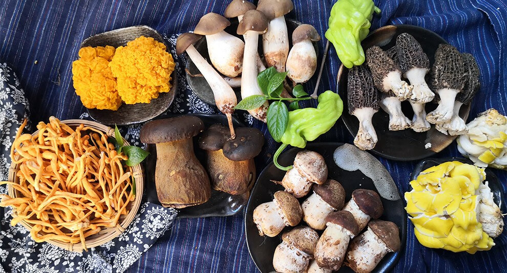 新鲜野生菌组合1kg姬松茸羊肚菌虫草花鸡枞牛肝菌新鲜菌火锅涮菜新鲜