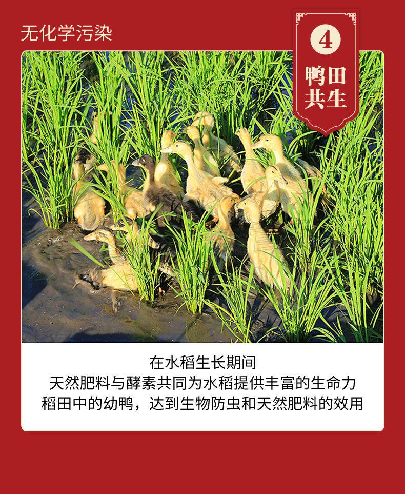 不抬头臻品五常大米新米五常长粒香米10斤东北20斤五常稻花香长香王20