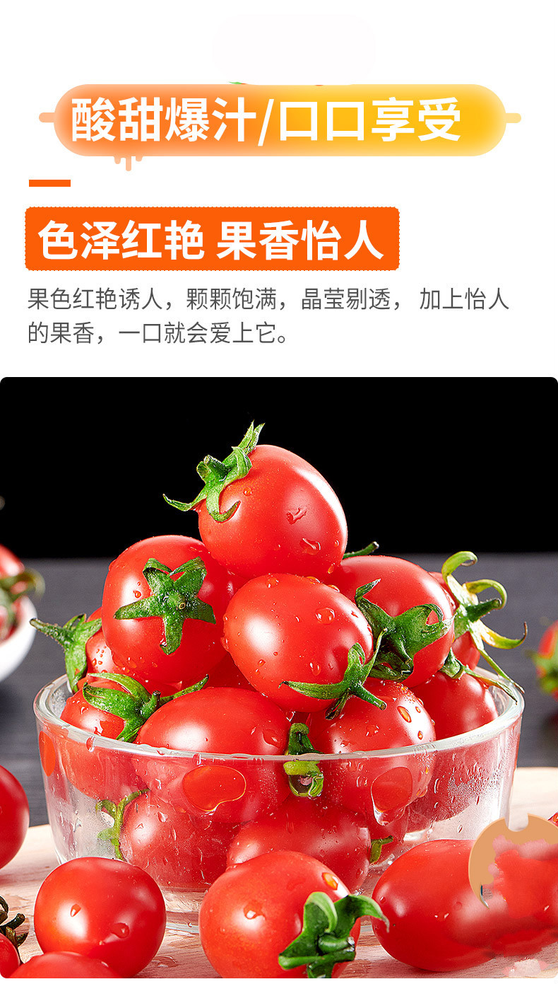 千禧小番茄广告语图片
