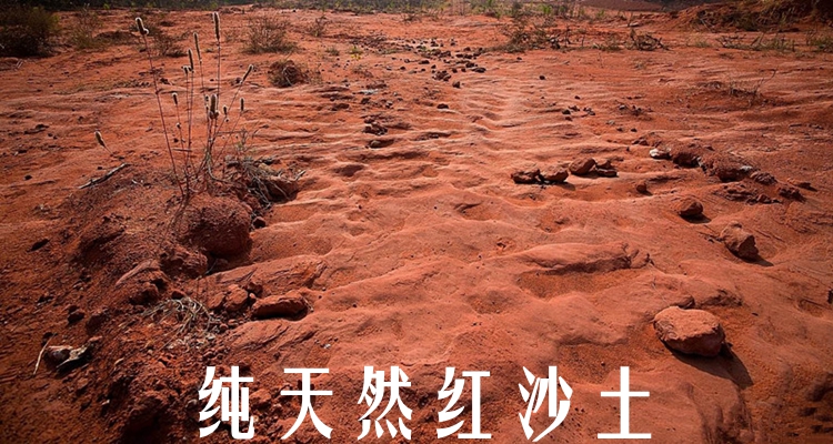 红土陆龟垫材红泥土红沙土黄土无菌土黄缘乌龟冬眠沙土垫材 黄泥土30