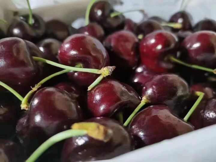 5折 都乐车厘子 2500g 智利都乐dole车厘子樱桃新鲜水果5斤同城礼盒装