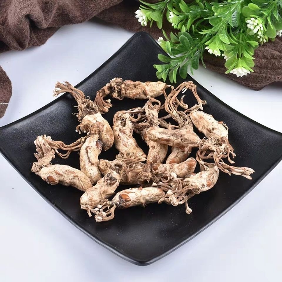 金蝉花2020年金蝉花大别山蝉花50克知了花金蝉花中药材精品金蝉花50克