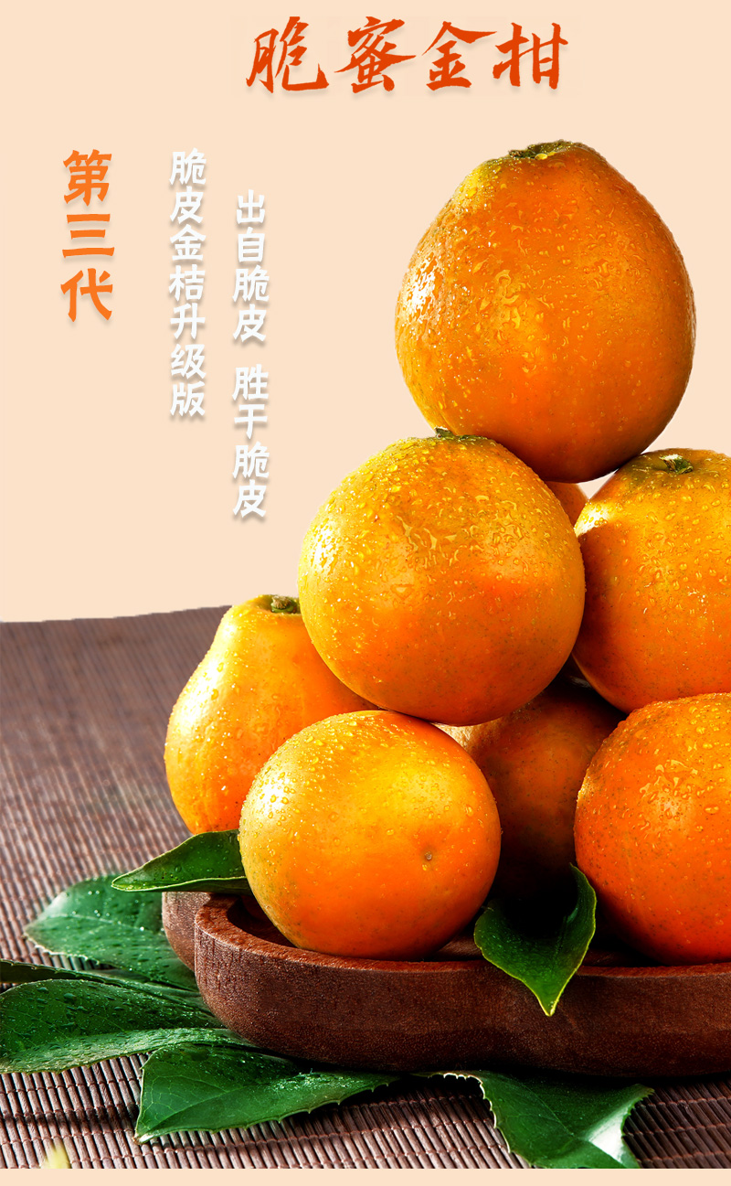 广西正宗融安脆蜜金柑第3代脆蜜金橘纯甜无核滑皮脆皮金桔48斤二级果
