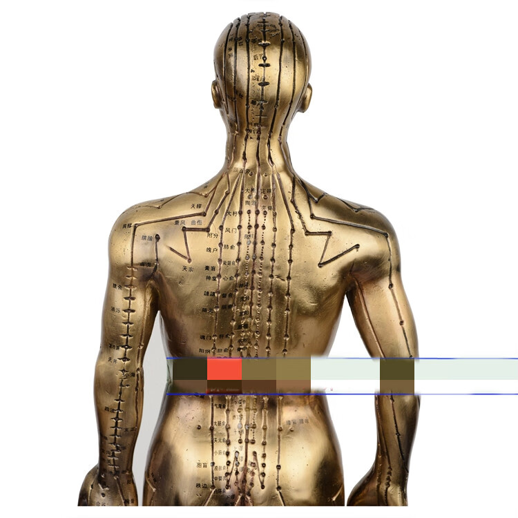 珠观玉赏 纯铜超清晰经络通针灸铜人人体穴位模型 中医针灸人模 50