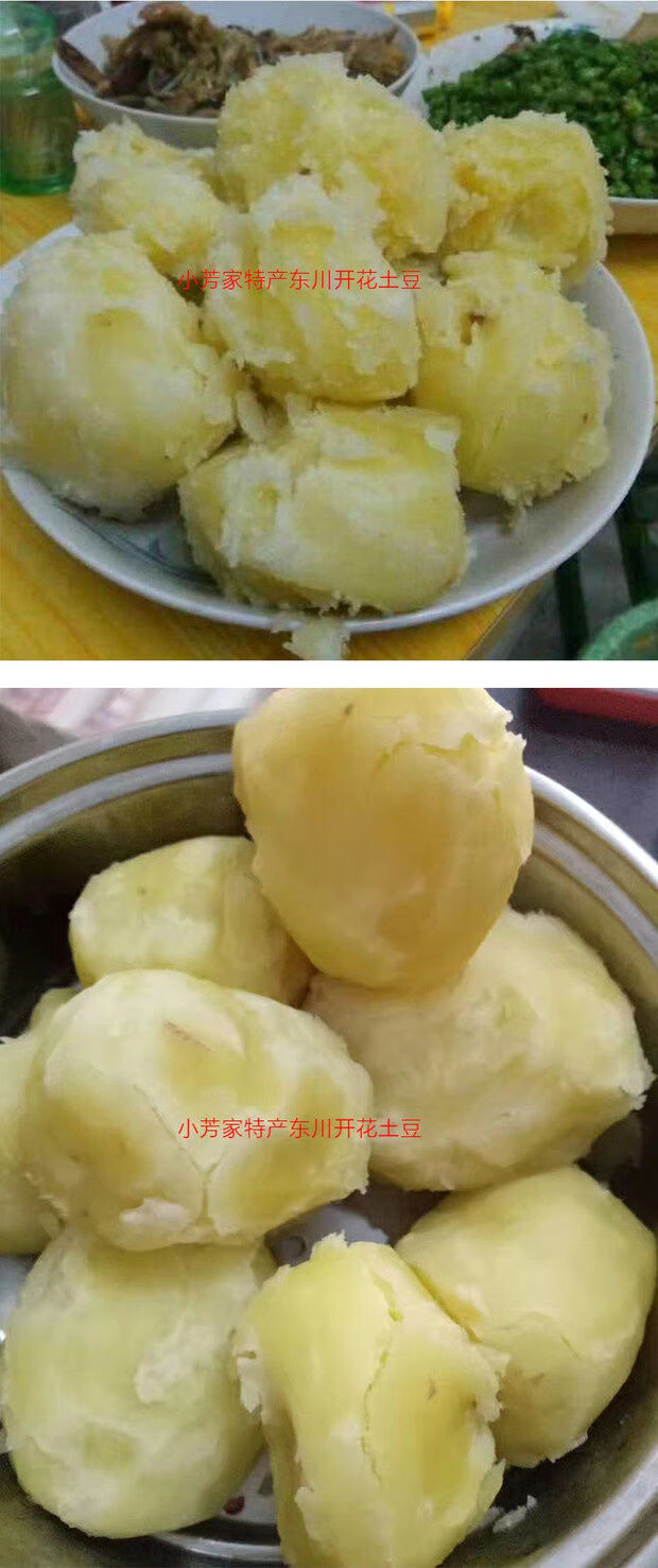 新品东川三宝开花洋芋云南特产李子沟开花土豆马铃薯粉糯香10-3斤 10