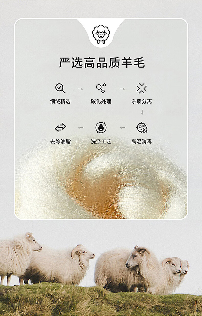 207c81012ee78028.jpg
